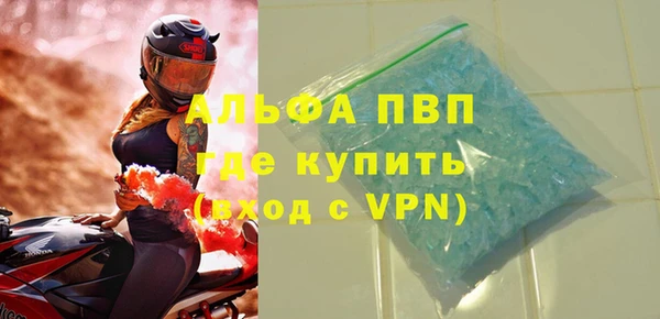 шишки Горняк