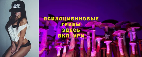 кокс Вяземский