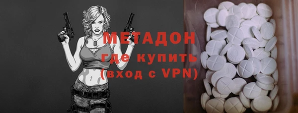шишки Горняк