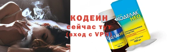 шишки Горняк