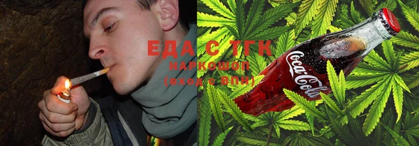 шишки Горняк