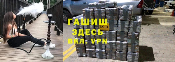 шишки Горняк