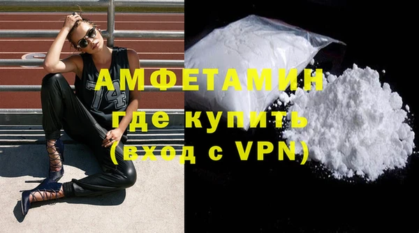шишки Горняк