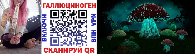 Купить закладки  Катав-Ивановск  Галлюциногенные грибы Cubensis 